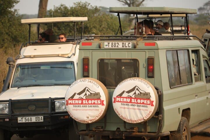 9-Day Northern Circuit Safari — Mid-Range Tanzania Wildlife Experience