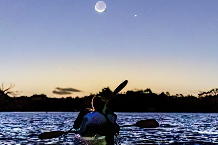 Auckland Bioluminescence Kayak Tour: Night Paddle Through Glowing Waters photo 2