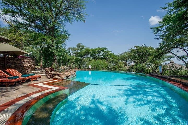 7-Day Serena Safari: Serengeti Great Migration, Ngorongoro & Tarangire Experience photo 3