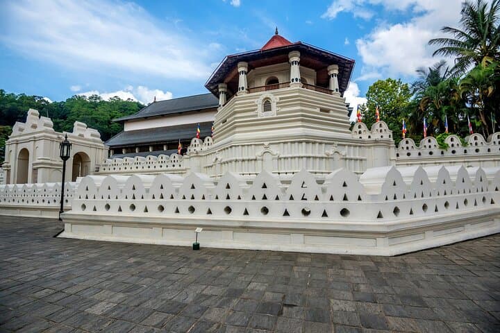 9-Day Tour Around Sri Lanka: Culture, Wildlife & Coastal Escapes photo 4