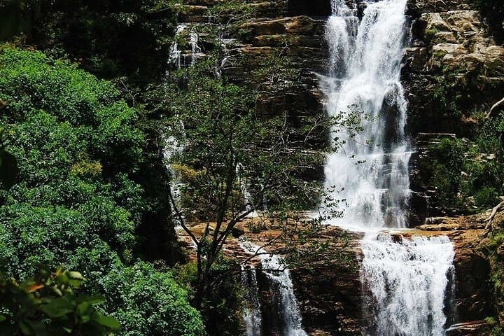 12-Day Sri Lanka Private Experience: Temples, Tea Hills & Yala Safari photo 4