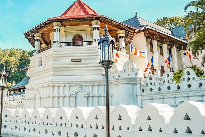 12-Day Sri Lanka Private Experience: Temples, Tea Hills & Yala Safari photo 5