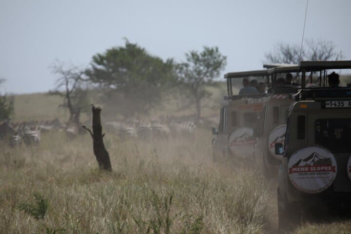 6-Day Ndutu Wildebeest Calving Safari — Great Migration in the Serengeti photo 1