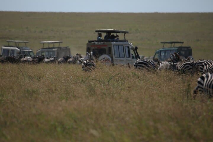 7-Day Private Serengeti Wildebeest Migration Tour — Luxury Safari from Arusha photo 3