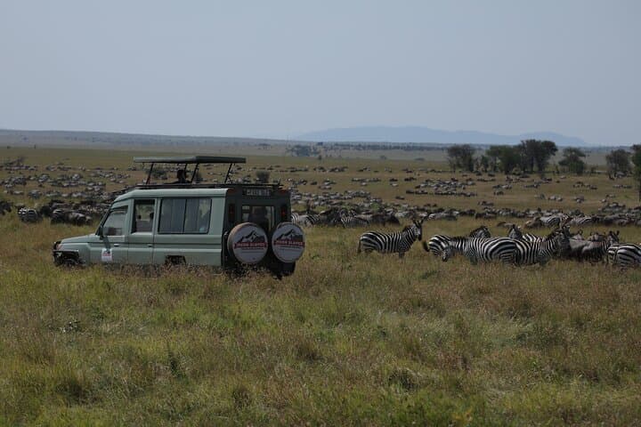 7-Day Private Serengeti Wildebeest Migration Tour — Luxury Safari from Arusha photo 1