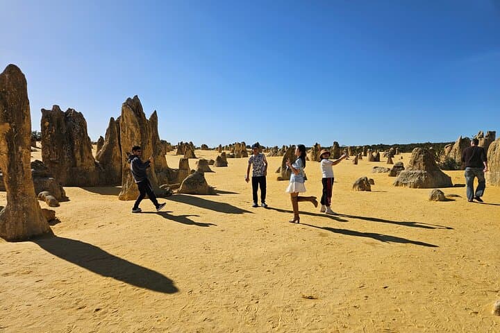 Pinnacles Desert Day Tour: Pinnacles, Lobster Shack & Lancelin Sandboarding photo 2