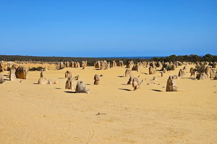 Pinnacles Desert Day Tour: Pinnacles, Lobster Shack & Lancelin Sandboarding photo 3