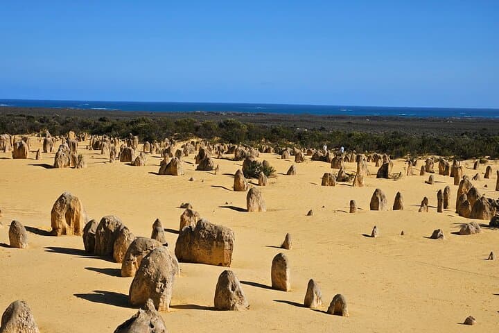 Pinnacles Desert Day Tour: Pinnacles, Lobster Shack & Lancelin Sandboarding