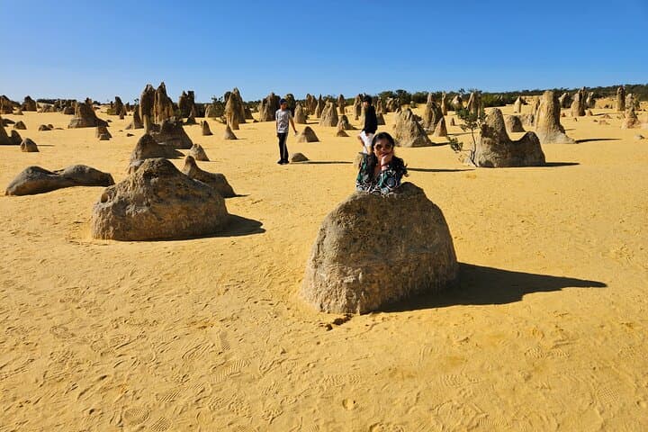 Pinnacles Desert Day Tour: Pinnacles, Lobster Shack & Lancelin Sandboarding photo 4