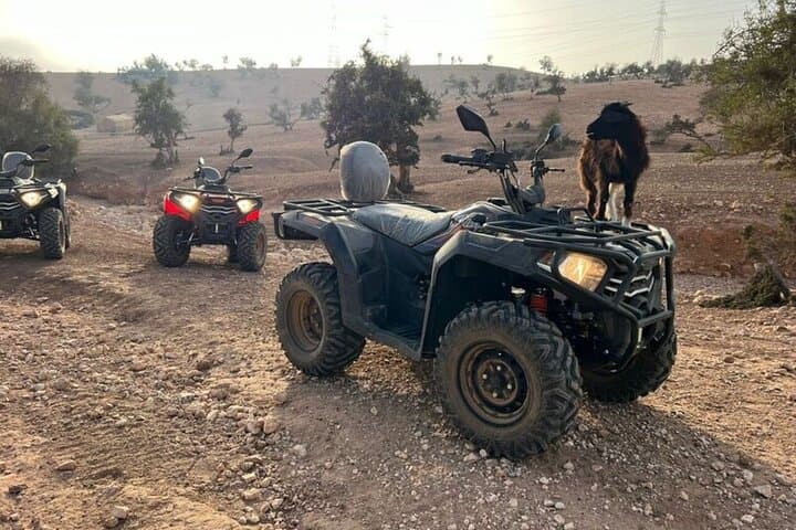 Quad Agadir: ATV Desert Safari Through Argan Forests & Berber Mint Tea photo 3