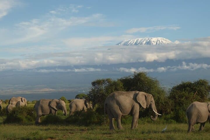 3-Day Amboseli Safari: Mount Kilimanjaro Views, Elephants & Luxury Game Drives photo 1