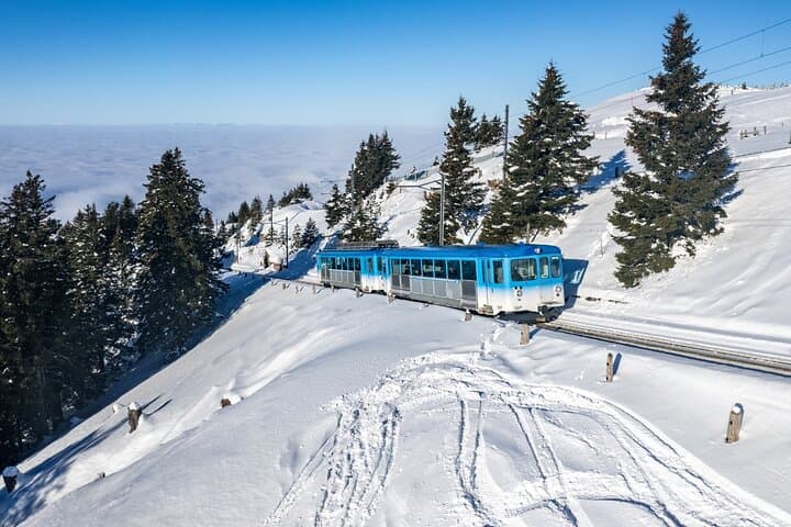 Mount Rigi & Lucerne: Cogwheel Train, Lake Lucerne Cruise and Private Day Trip