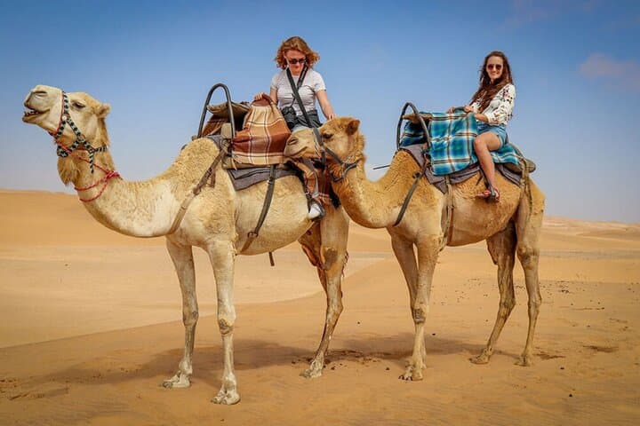 Abu Dhabi Desert Safari: Evening Dune Bashing, Camel Ride & BBQ Experience photo 6