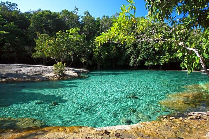 Krabi Tiger Cave, Emerald Pool & Hot Springs Jungle Tour
