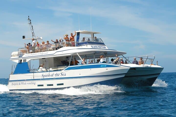 Gran Canaria Whale & Dolphin Watching Catamaran — Spirit of the Sea Excursion photo 4