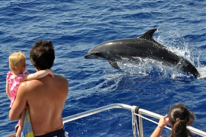 Gran Canaria Whale & Dolphin Watching Catamaran — Spirit of the Sea Excursion photo 1