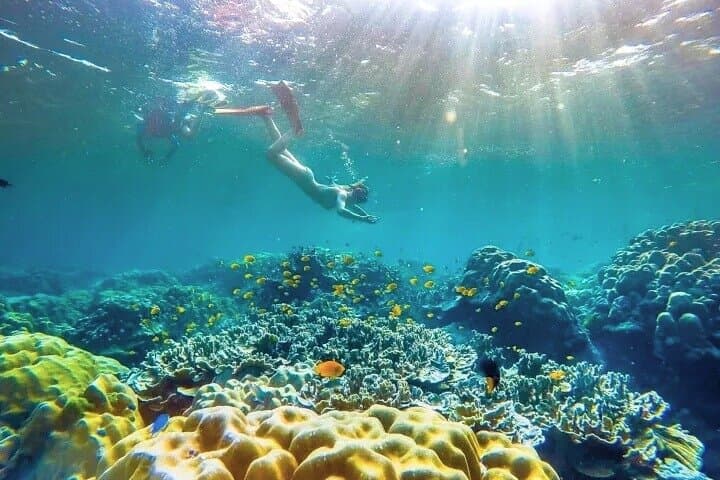 Similan Islands Day Trip from Phuket & Khao Lak — Snorkel Pristine Reefs photo 5