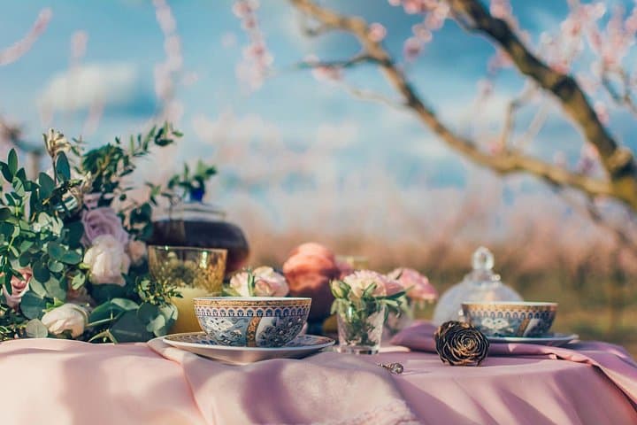 Afternoon Tea at Konopiště Castle: Aristocratic Tea Experience Near Prague photo 1