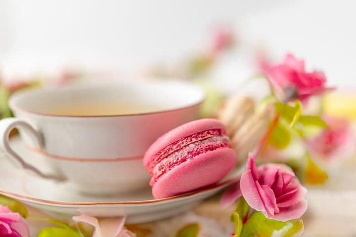 Afternoon Tea at Konopiště Castle: Aristocratic Tea Experience Near Prague photo 4