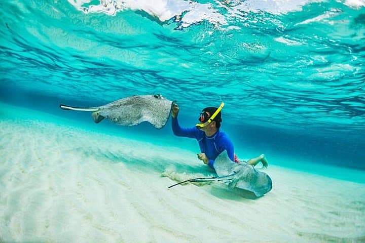 Blue Lagoon Snorkeling Bali: Clear-Water Reef Trip with Lunch and Transport photo 1
