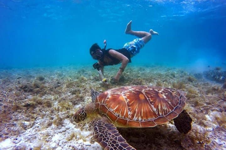 Blue Lagoon Snorkeling Bali: Clear-Water Reef Trip with Lunch and Transport photo 4
