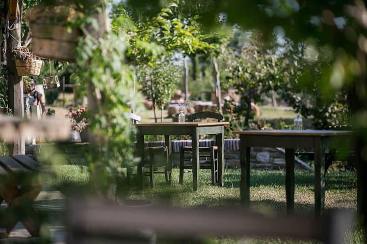 Pelion Farm-to-Table Cooking: Private Farm Tour & Wood-Fired Lunch
