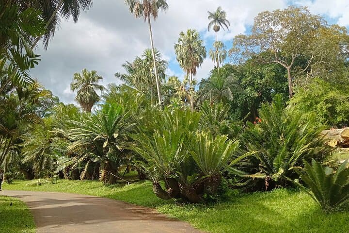 Kandy & Nuwara Eliya: 2-Day Hill Country Arrival from Katunayaka Airport photo 6