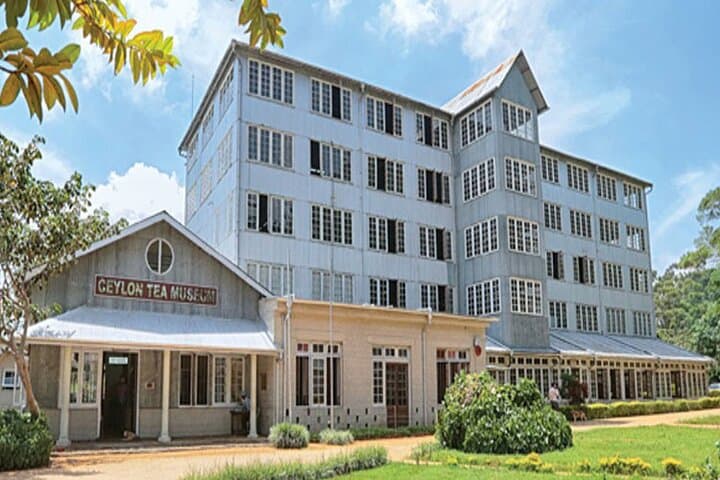 Kandy & Nuwara Eliya: 2-Day Hill Country Arrival from Katunayaka Airport photo 4
