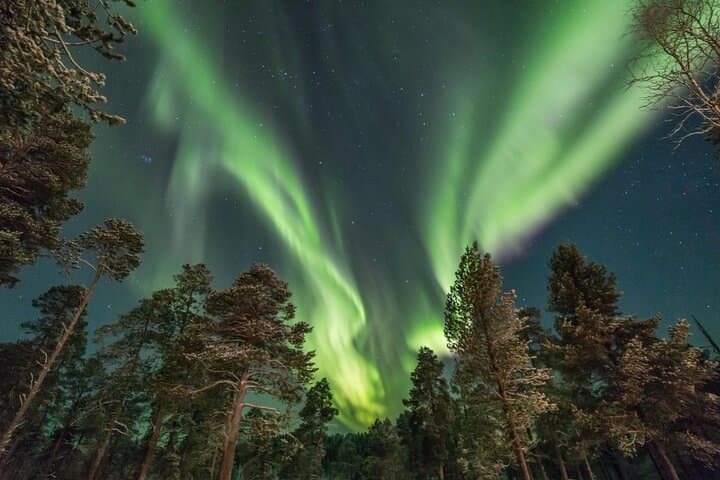 Night Snowshoe Hike & Northern Lights Watchtower in Rovaniemi photo 2