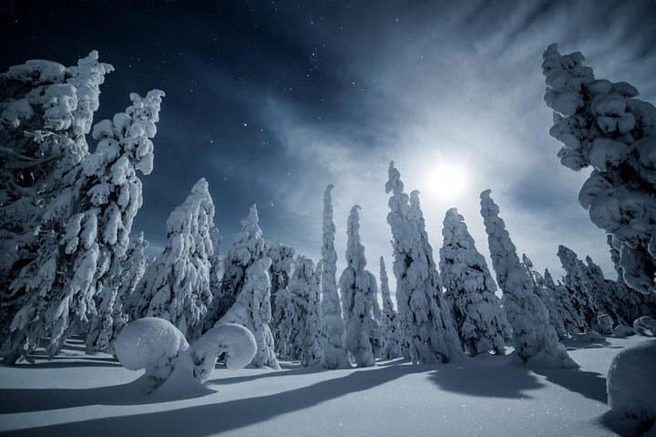 Night Snowshoe Hike & Northern Lights Watchtower in Rovaniemi photo 3