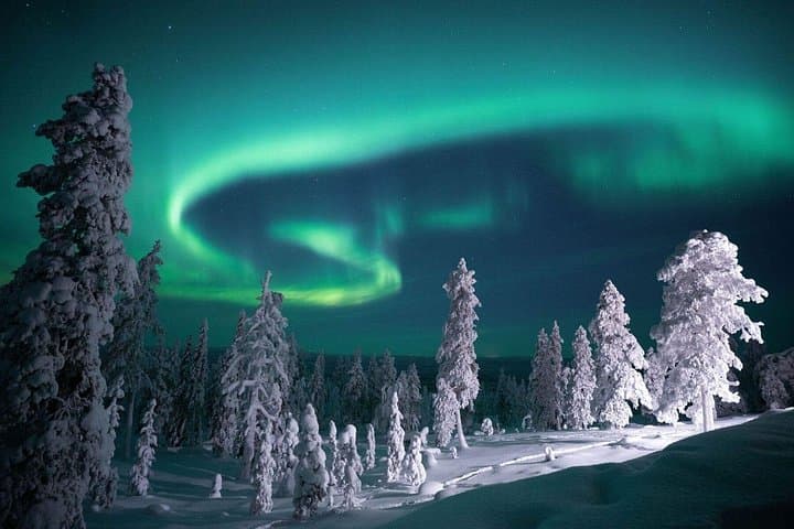 Night Snowshoe Hike & Northern Lights Watchtower in Rovaniemi photo 5
