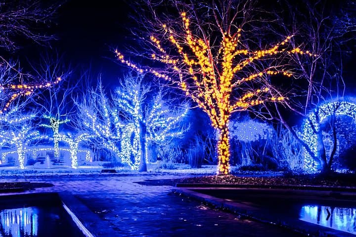 Cruise Cookeville’s Holiday Lights in a Luxury RoadStallion photo 5