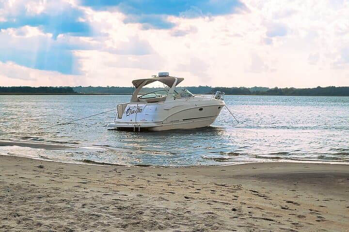 3-Hour Carolina Beach Intracoastal Cruise — Sunset & Wildlife Charter photo 1
