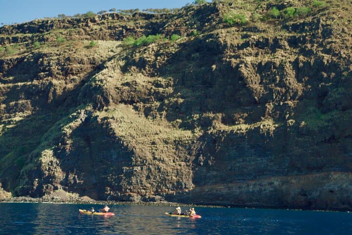 Morning Magic Kayak and Snorkel Adventure: Exploring Kealakekua Bay’s Underwater World photo 3