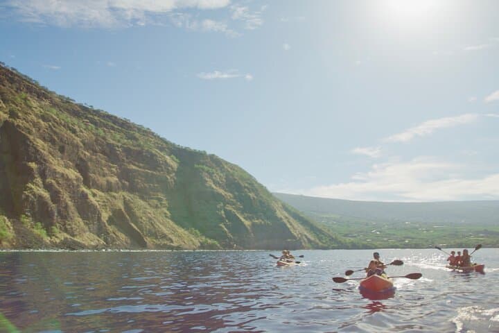 Morning Magic Kayak and Snorkel Adventure: Exploring Kealakekua Bay’s Underwater World photo 4