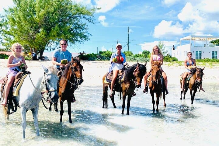 Beach Horseback Riding in Providenciales — Small-Group Caicos Trail Ride