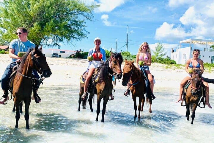 Beach Horseback Riding in Providenciales — Small-Group Caicos Trail Ride photo 2