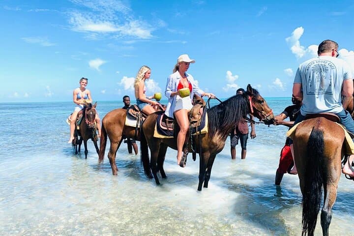 Beach Horseback Riding in Providenciales — Small-Group Caicos Trail Ride photo 3