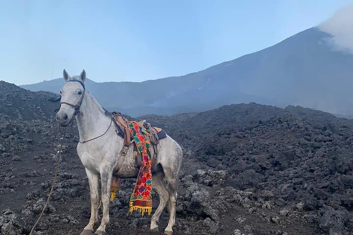 Sunset Horseback Ride and Lava-Cooked Pizza on Pacaya Volcano photo 6