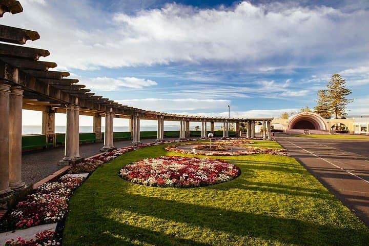 Napier Art Deco Walking Tour from Cruise Port: Marine Parade, Bluff Hill & Aquarium