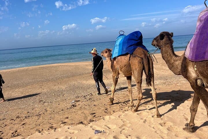 Luxury Tangier Day Trip from Marbella & Málaga — VIP All-Inclusive Tour photo 5