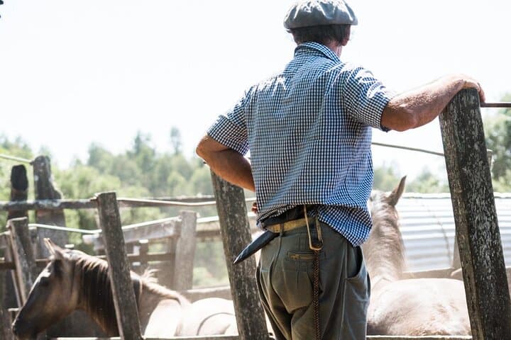 Three-Day Gaucho Experience at Estancia La Pilona, Uruguay