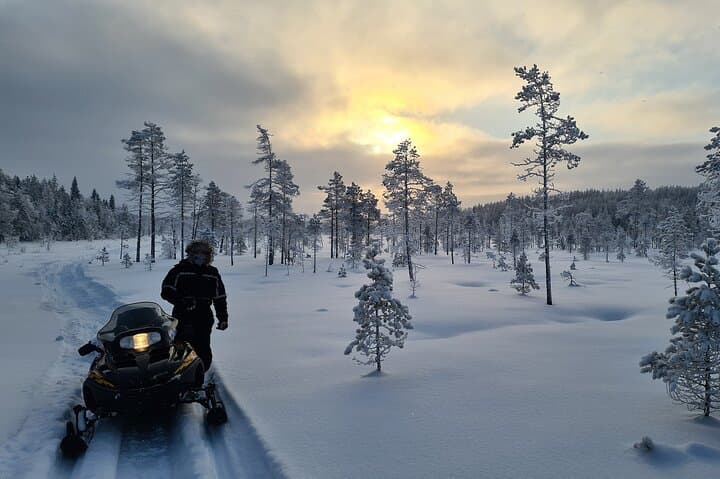 Exploring Northern Sweden by Snowmobile: A Guided Winter Adventure photo 4