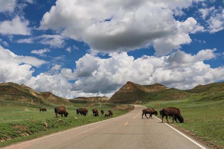 Theodore Roosevelt National Park Self-Guided Audio Tour — Medora Badlands Driving Guide photo 2