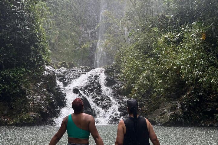 Rainforest Hike to Charco Prieto Waterfall — Hidden Waterfall Trek from San Juan photo 5