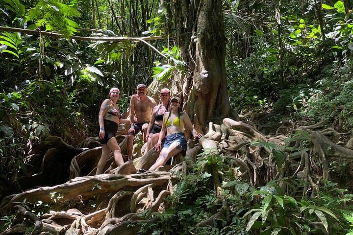 Private El Yunque Rainforest Day Tour with Transport — Guided Hike to Waterfalls & Beach Lunch photo 4