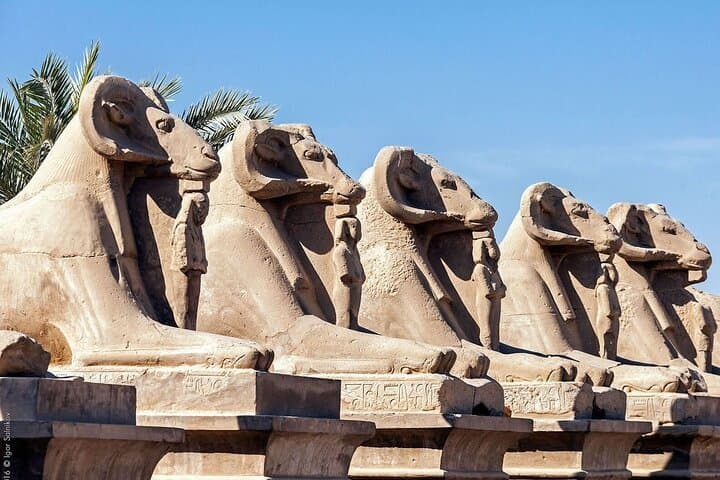 Full-Day Luxor Tour: East and West Bank Highlights photo 3