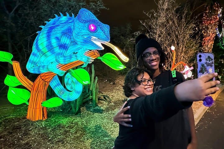 ZooLights at Phoenix Zoo: Evening Holiday Light Walk, Shows & Family Treats photo 2