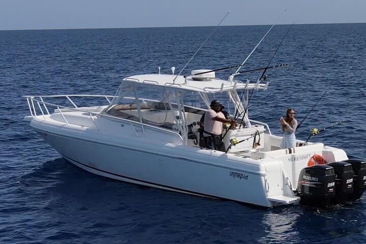 Hooked on Serendipity: Half-Day Private Bottom Fishing Off Providenciales