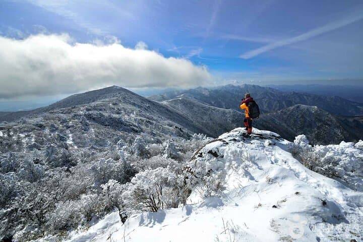 Suwon Hwaseong & Deogyusan: Full-Day Cable Car, Fortress Walks and Mountain Views photo 1